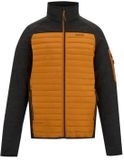 Regatta Donsjack Ceden Hybrid Heren 2XL Pumpkin Spice/Black