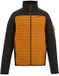 Regatta Donsjack Ceden Hybrid Heren 2XL Pumpkin Spice/Black