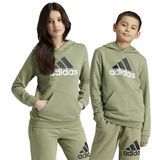 Adidas Essentials Two Colored Big Logo Cotton Hoodie Groen 7-8 Years Kinderen