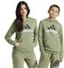 Adidas Essentials Two Colored Big Logo Cotton Hoodie Groen 7-8 Years Kinderen