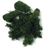 Rayher 8503213 IJslands mos, donkergroen, 100 g