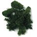 Rayher 8503213 IJslands mos, donkergroen, 100 g