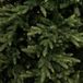 Triumph Tree Edelman B.V. Harrison x-mas tree slim green TIPS 2623 - h185xd112cm