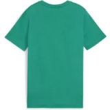 Puma Kindershirt TeamGoal Casua Longsleeve T-shirt Jr 658616