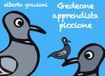 Gedeone apprendista piccione
