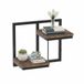 Relaxdays Wandrek - met 2 planken - industrieel - zwart-bruin