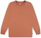 Levi's Kids Graphic T-shirt Lange Mouwen Bruin 10 Jaar Jongens
