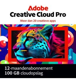 Adobe Creative Cloud Individual (alle apps) - 1 jaar - 100GB Cloud