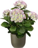 Mica Decorations Hortensia kunstplant/kunstbloemen 45 cm - paars/groen - in pot olijfgroen mat - Kunst kamerplant