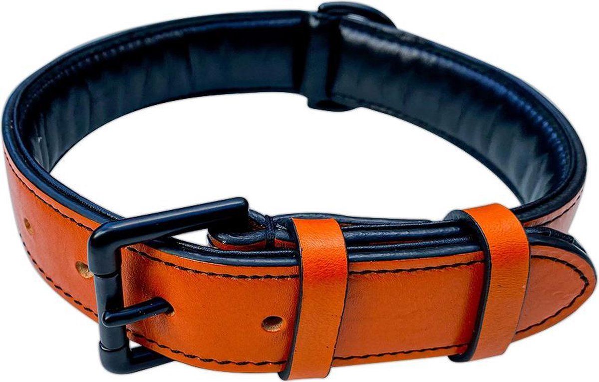 Brute Strength Hondenhalsband van leer - oranje - XL - 56-63 cm
