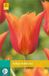 jub Tulipa Ballerina bloembollen 7 bollen Tulp JUB