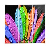 Homemania Wandfoto, 3 stuks, natuur, voor woonkamer, slaapkamer, meerkleurig, 69 x 3 x 50 cm, HM203PKNV-211, polyester, hout