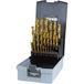 RUKO 250215TRO HSS-G Spiraalboorset 25-delig 1 mm - 8 mm