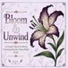 BLOOM & UNWIND: A Gentle Nature & Floral Coloring Book For Stress Relief & Joy
