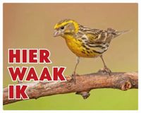 Stickerkoning.nl Europese Kanarie Waakbord - Hier Waak Ik