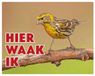 Stickerkoning.nl Europese Kanarie Waakbord - Hier Waak Ik