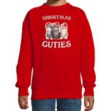 Bellatio Decorations Katten Kittens Kersttrui sweater - Christmas cuties - rood - voor kinderen - Kerstkleding - Poezen - Katjes 170/176