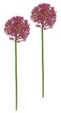 Kunstbloem Allium sierui bolbloem tak enkele bloem steelbloem bloemisterij kunstbloemen bijwerk voor kunstbloemen boeketten en boeketten bloemstukken decoratieve bloemen bloemenluk, mauve