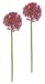 Kunstbloem Allium sierui bolbloem tak enkele bloem steelbloem bloemisterij kunstbloemen bijwerk voor kunstbloemen boeketten en boeketten bloemstukken decoratieve bloemen bloemenluk, mauve