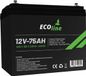 EcoLine AGM 12V 75AH VRLA Batterij