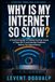 WHY IS MY INTERNET SO SLOW?: A Practical Guide to Finding the Real Cause of Slow Wi-Fi and Internet Problems Before You Spend Money