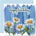 Speciale verjaardagskaarten voor haar vrouwen - bloemen madeliefjes bloemen - gelukkige verjaardagskaart voor vriend zus dochter tante mama oma oppas, 145 mm x 145 mm dames mooie schattige verjaardag wenskaarten