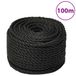vidaXL Corde de travail 10 mm 100 m polypropylène noir