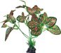Repto Plant Terrarium sur pied Rouge/Vert plante artificielle 32x21x29 cm