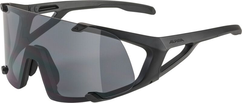 Alpina Hawkeye Glasses - zwart