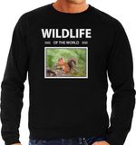 Bellatio Decorations Shoppartners Bv Dieren foto sweater Eekhoorn - zwart - heren - wildlife of the world - cadeau trui Eekhoorns liefhebber M
