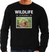 Bellatio Decorations Shoppartners Bv Dieren foto sweater Eekhoorn - zwart - heren - wildlife of the world - cadeau trui Eekhoorns liefhebber M