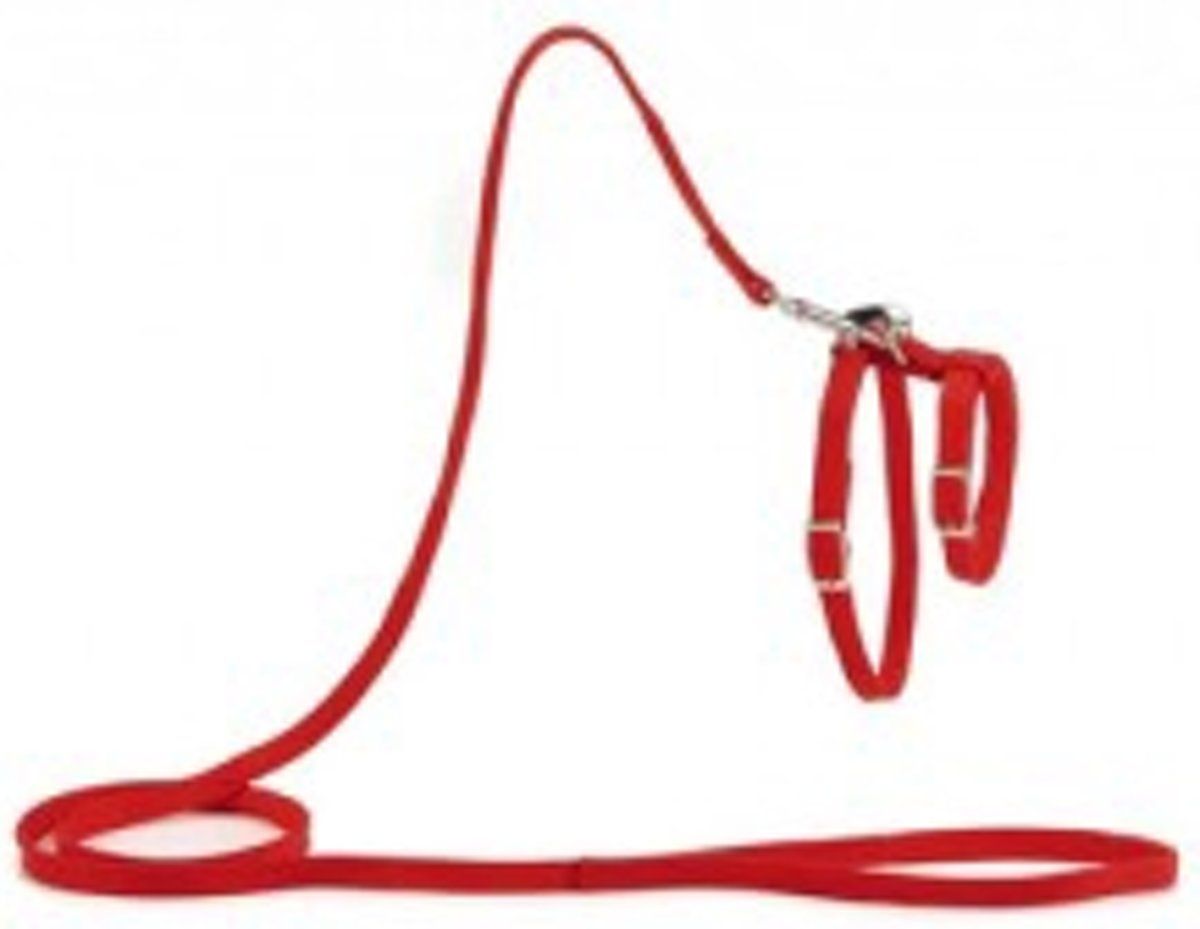 Beeztees Kattentuigje Nylon Rood - 130 cm