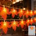 3M 20LED guirlande d'automne à piles avec minuterie - Guirlande lumineuse d'automne