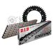 Kettingset DID Kettingset staal 520ZVM-X / 100 klinknagel slot voor Honda XL R 500 cc bj. 1982-1985