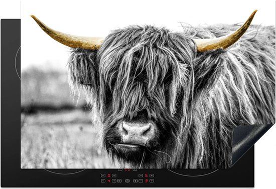 KitchenYeah® Inductie beschermer 77x51 cm - Schotse Hooglander - Gras - Goud - Inductie kookplaat accessoire