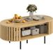 Table basse ovale, table de salon avec rangement, coins arrondis, design lattes, 100 x 50 x 40 cm, effet bois naturel