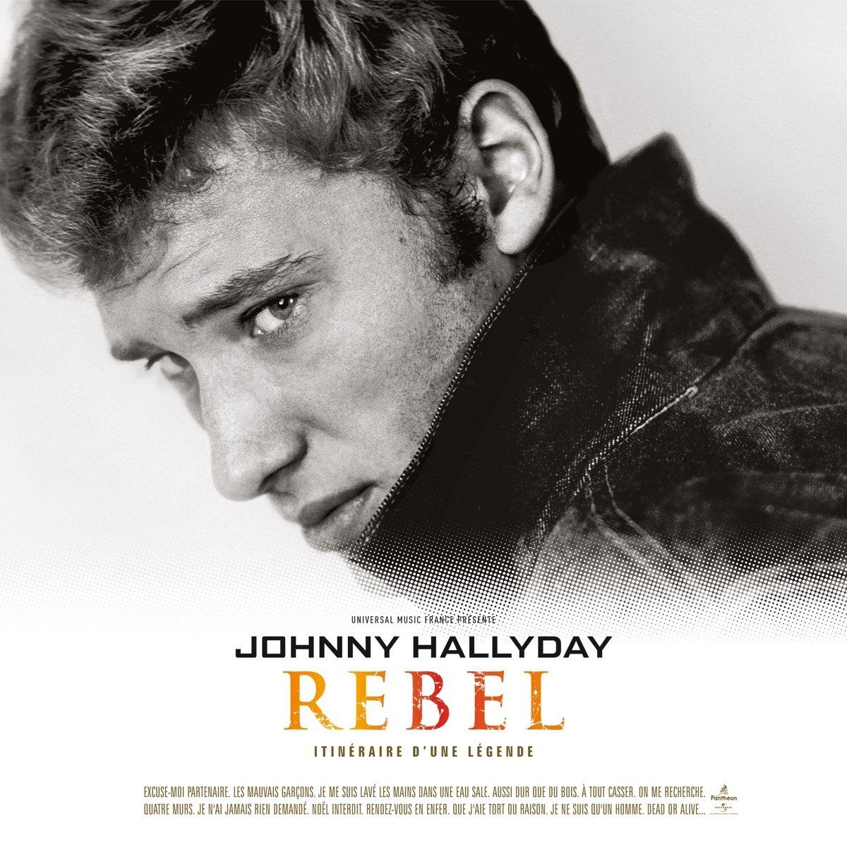 Johnny Hallyday - Rebel (LP) (Limited Edition)