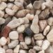 Flamingo Aquarium Grind Grof Beige 2.5 kg 8-16mm