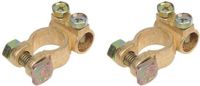 ProPlus Accuklemmenset (+) En (-) Din 16/18 Mm Messing Goud Bl
