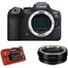 Canon EOS R6 Mark II + Anneau adaptateur EF-EOS R + Kingma batterie 2000mAh (Canon LP-E6NH)