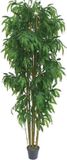 Brulo Bambus 210 cm