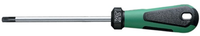 Stahlwille Stah Schrdr Tx 4856 T10