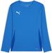 Puma TeamGoal-shirt met lange mouwen voor kinderen Jr 705751