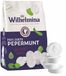 Fortuin Wilhelmina Fris Zoete Pepermunt - 1 kilo