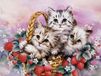 Peinture diamant, image de trois chats mignons, dimensions 45x55 cm