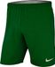 NIKE heren Korte Laser IV Woven Short