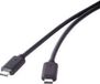 Renkforce RF-4381071 USB-kabel USB 3.2 Gen2x2 USB-C stekker, USB-C stekker 1.00 m Zwart