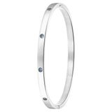 Lucardi Dames Armband bangle geboortestenen - Staal - Armband - Cadeau - Stijlvol - Zilverkleurig