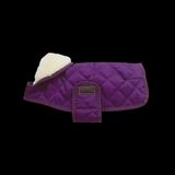 Kentucky Regenjas Hond Paars XXS Purple