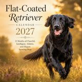 Flat-Coated Retriever Calendar 2027